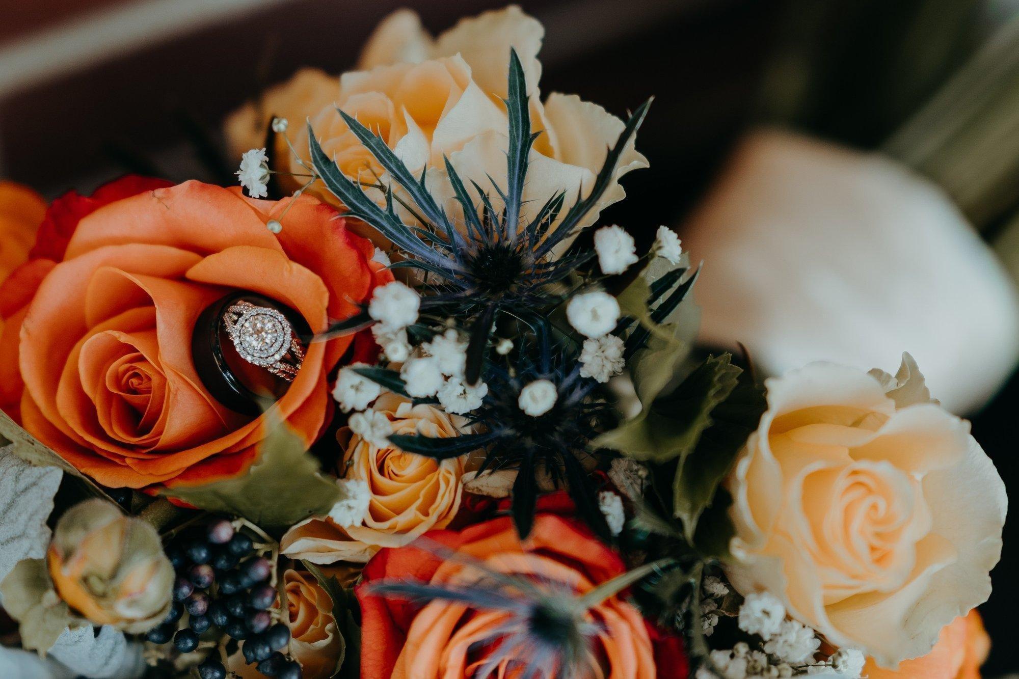 carousel-hero-element image-5